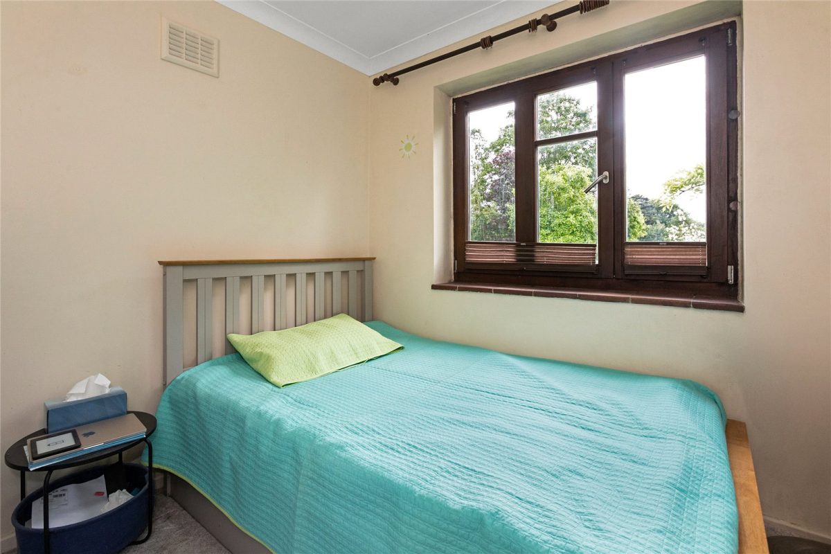 addsah add230219 img 10