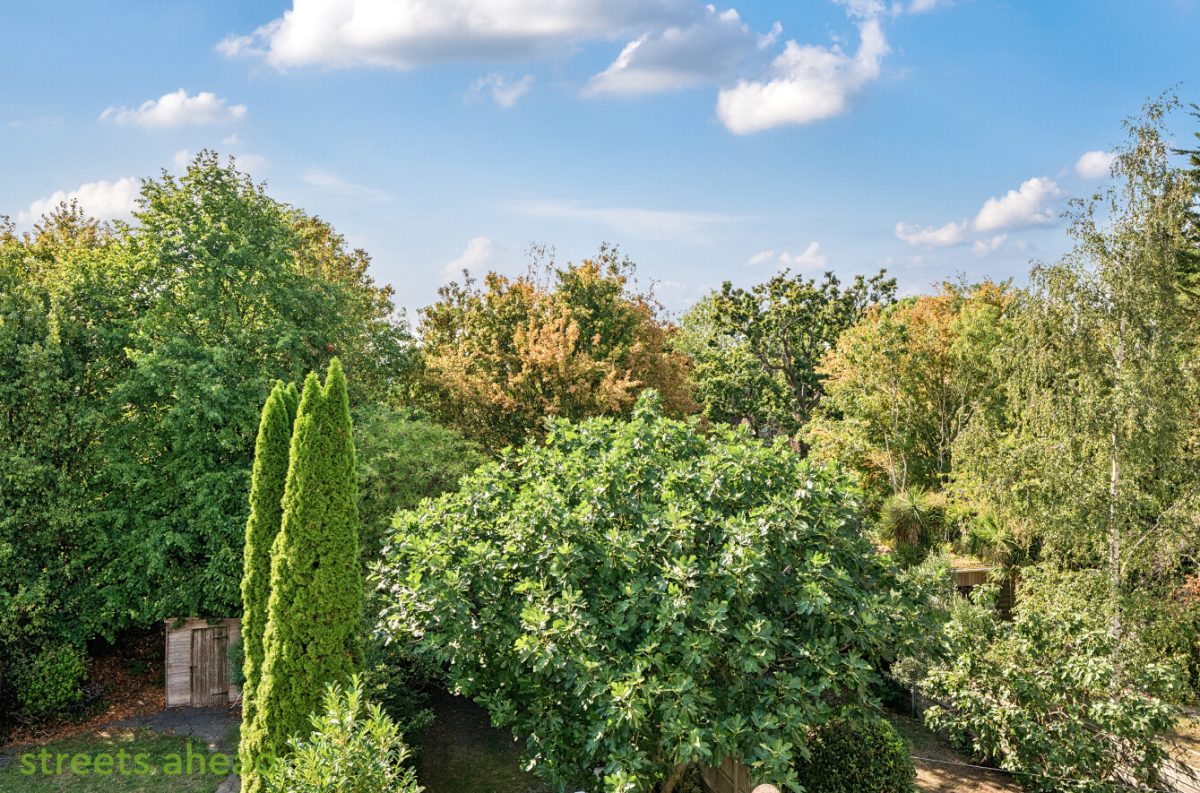 addsah add240197 img 19