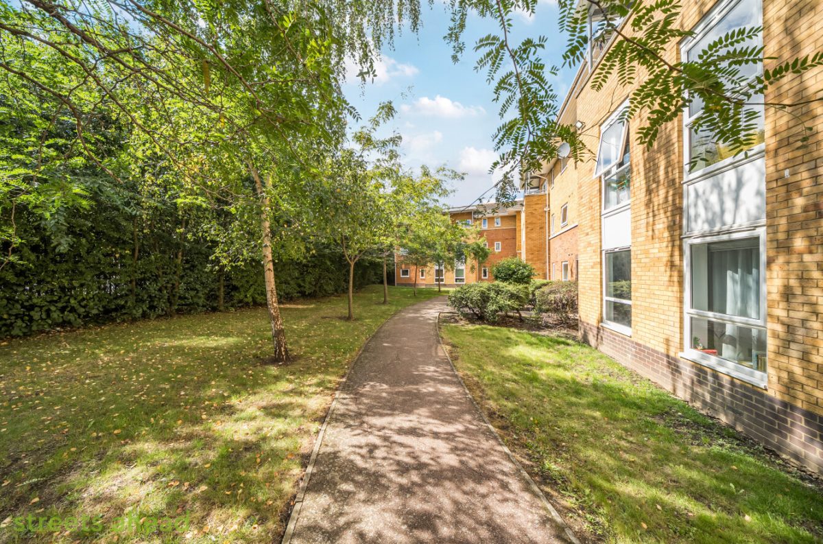 addsah add250336 img 18