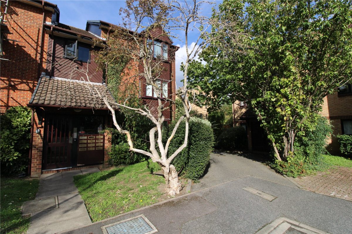 addsah add250367 img 05