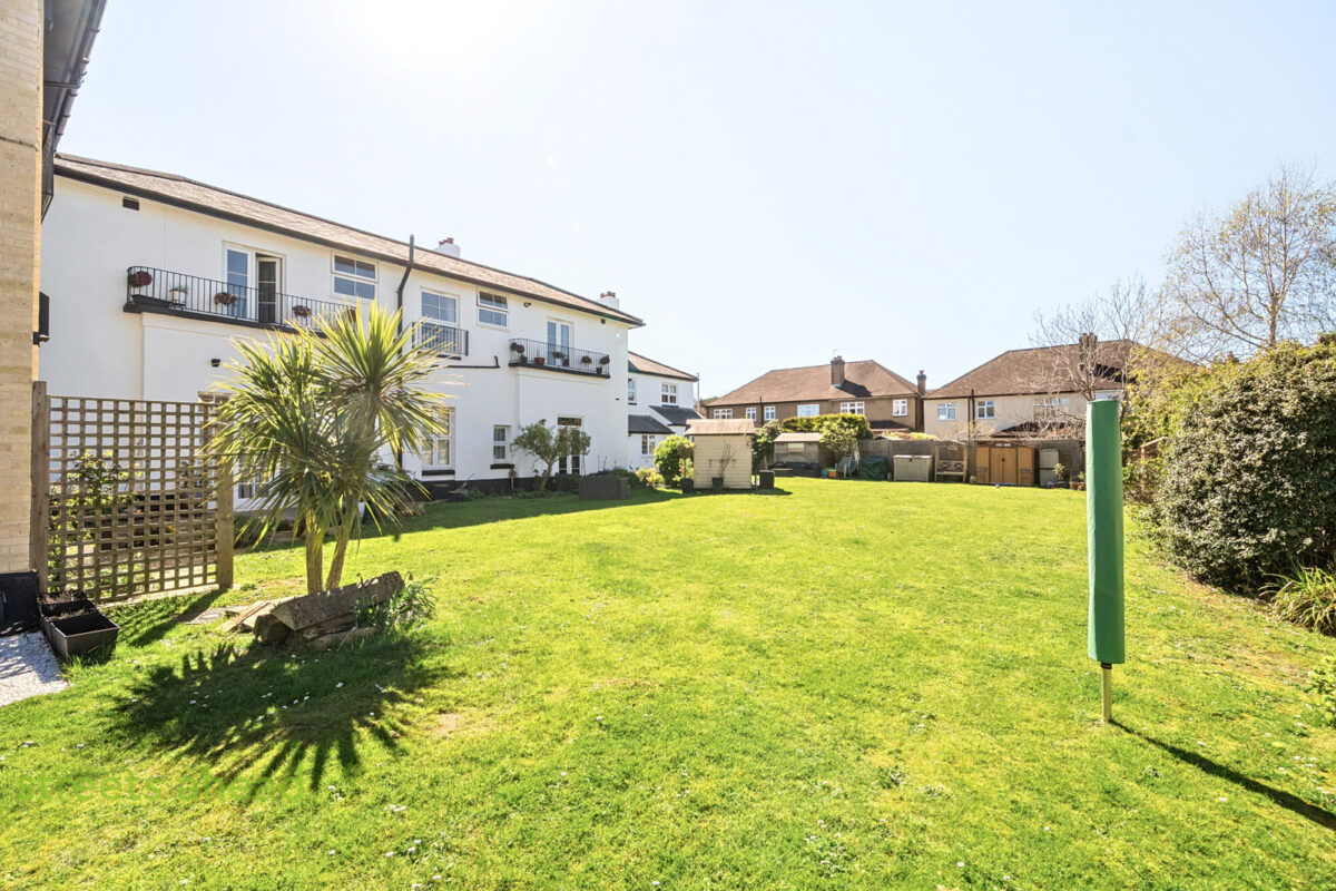 addsah add250469 img 09