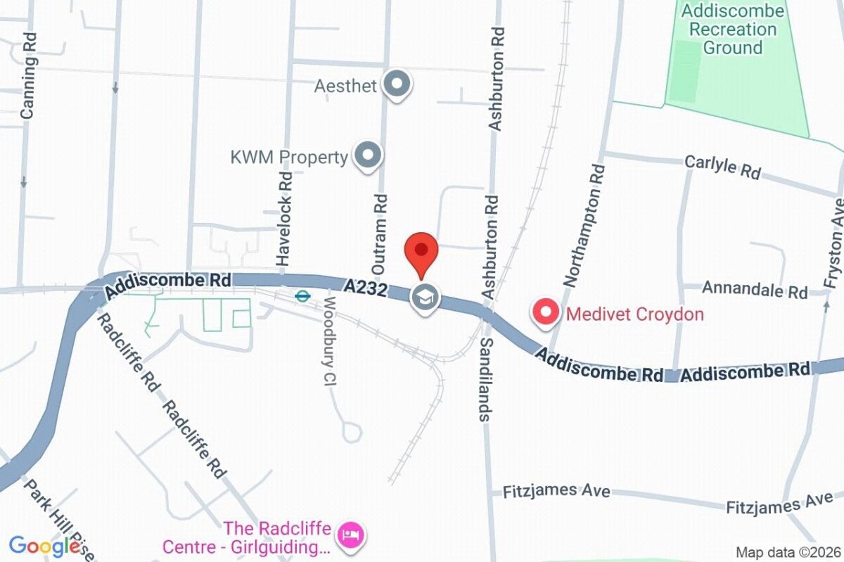 addsah add250473 img 14