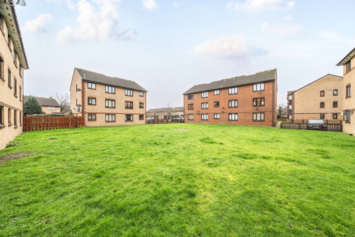 addsah add260059 img 09