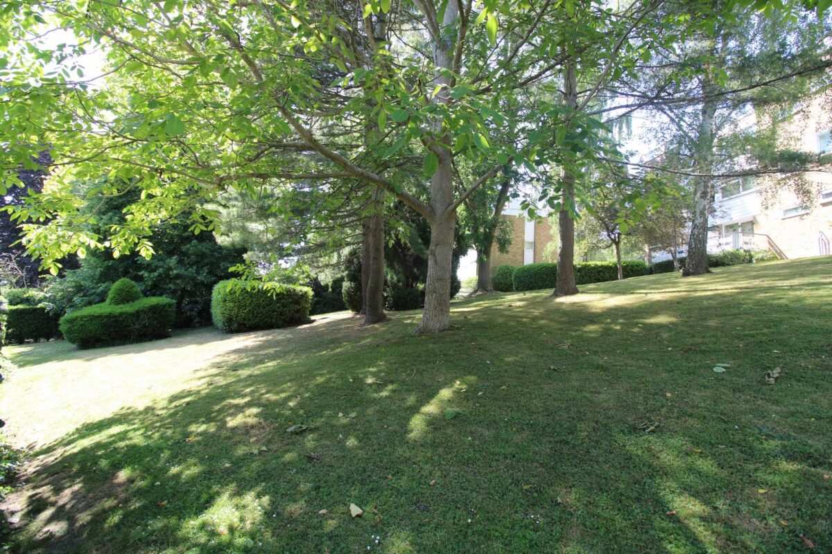 addsah scr220243 img 14