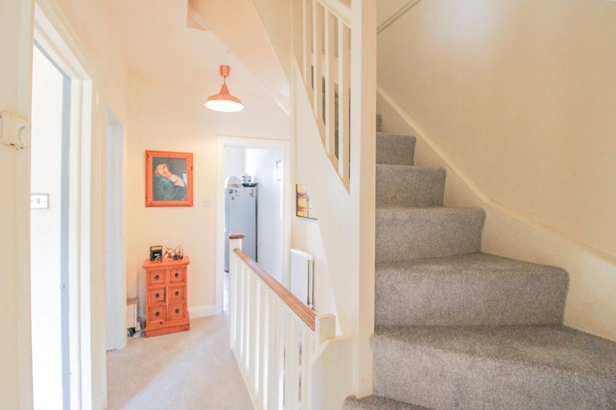 cousah cou200275 img 07