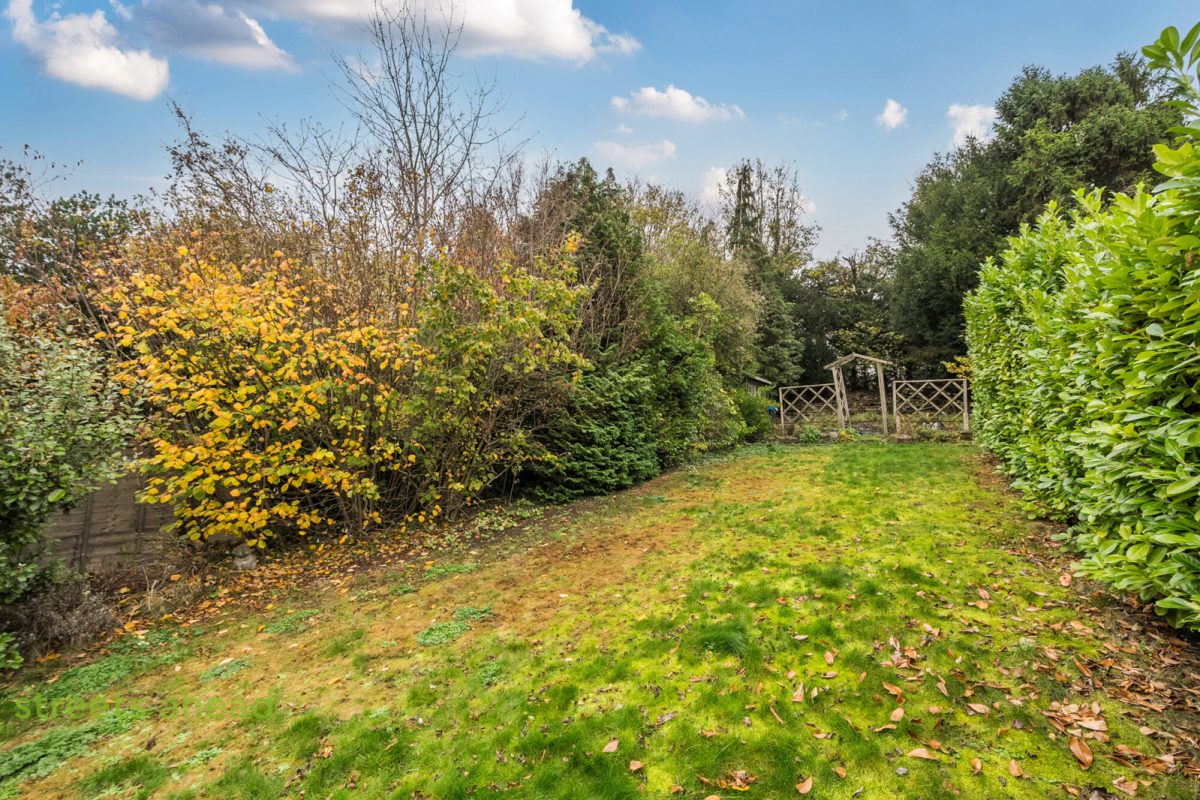 cousah cou250106 img 12