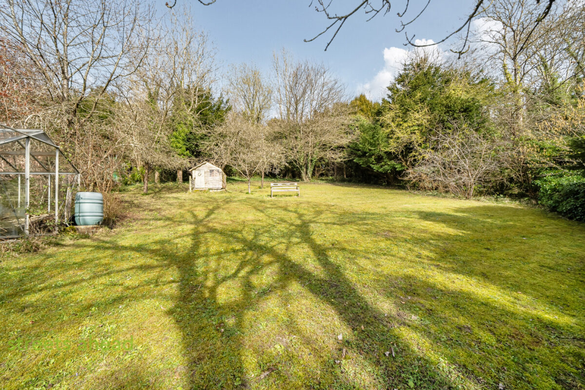 cousah cou260028 img 11