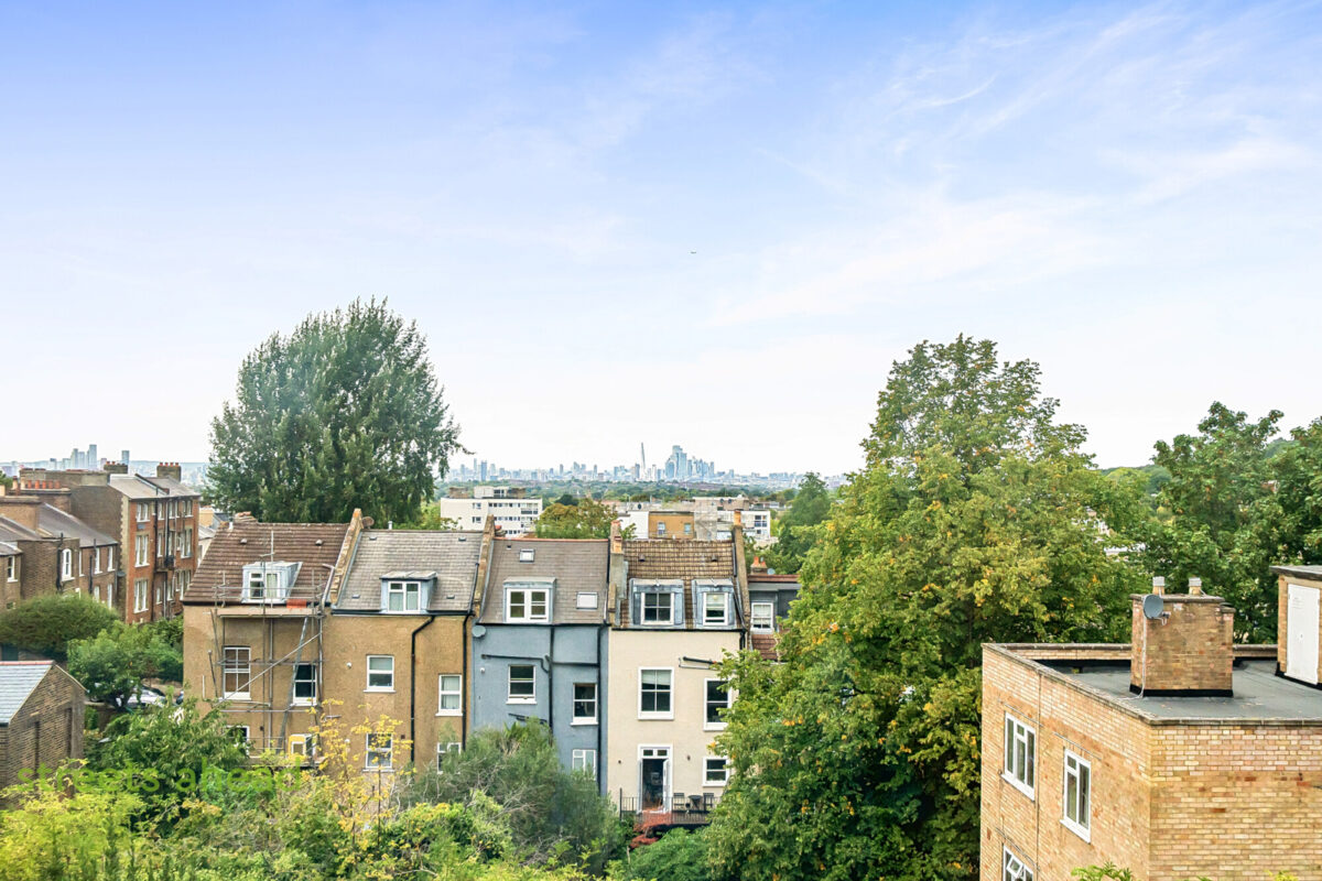 crpsah_crp200630_l_img_13.jpg Camden Hill Road, London, SE19, photo 14