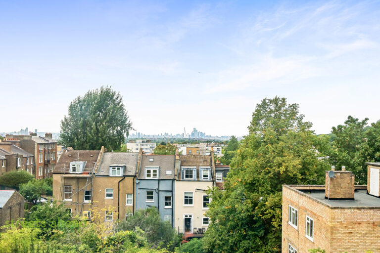 crpsah_crp200630_l_img_13.jpg Camden Hill Road, London, SE19, photo 14