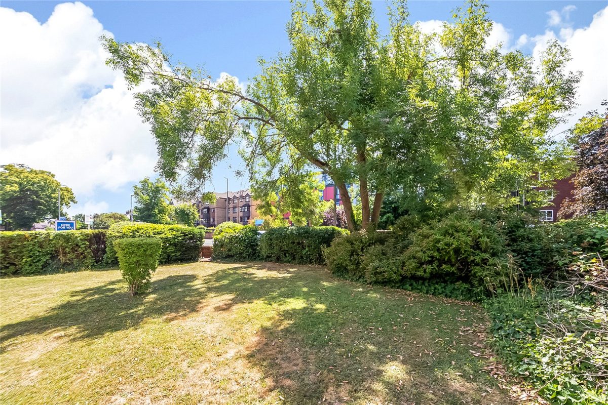 crpsah crp240549 img 11