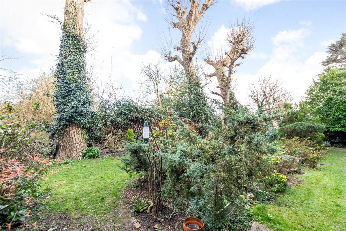 crpsah crp250096 img 13