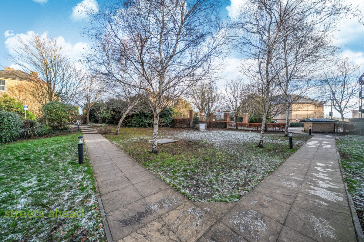 crpsah crp250376 img 14