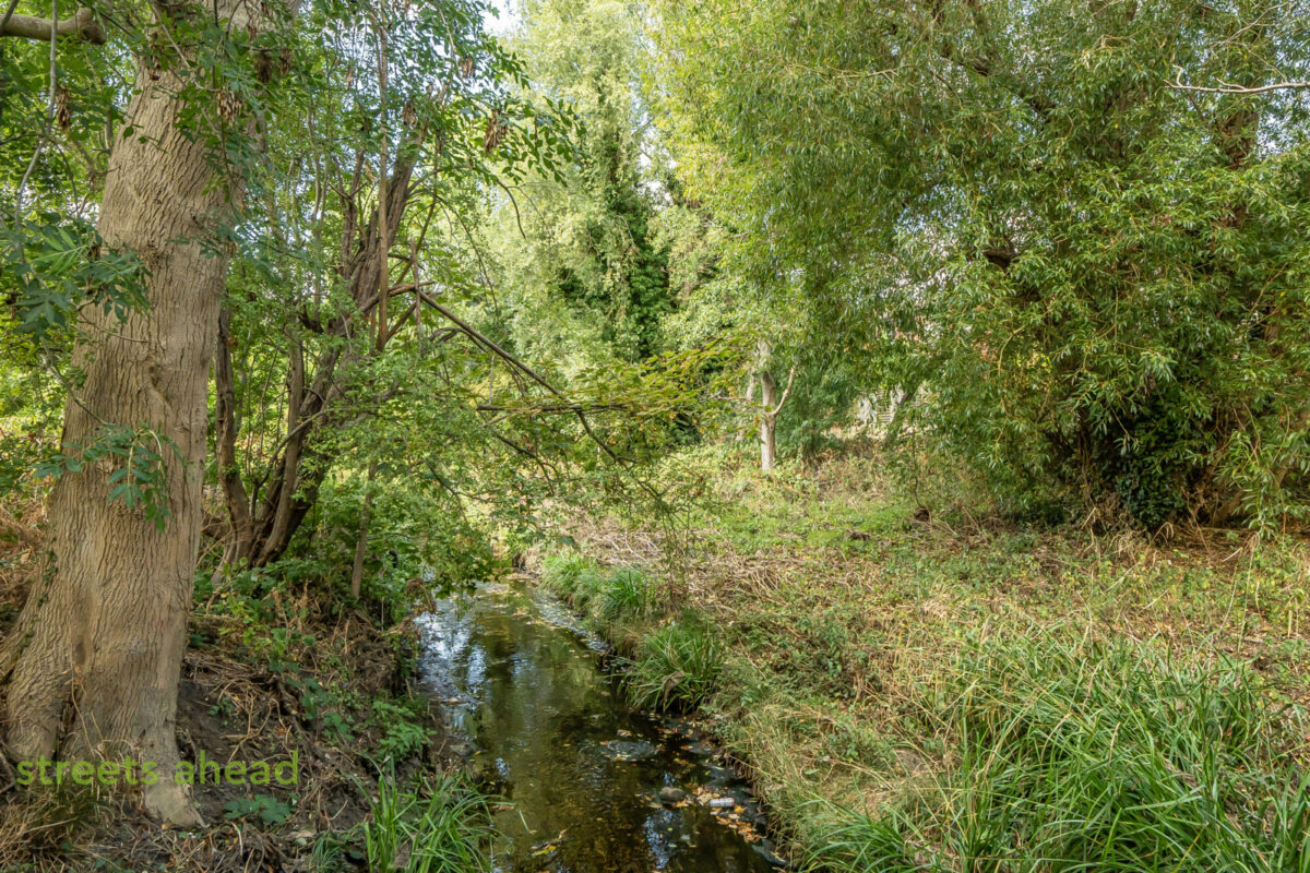 crpsah_crp260287_img_17.jpg Derwent Road, London, SW20, photo 18
