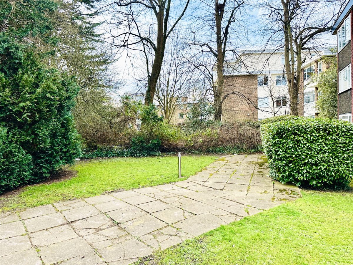 scrsah scr250091 img 12