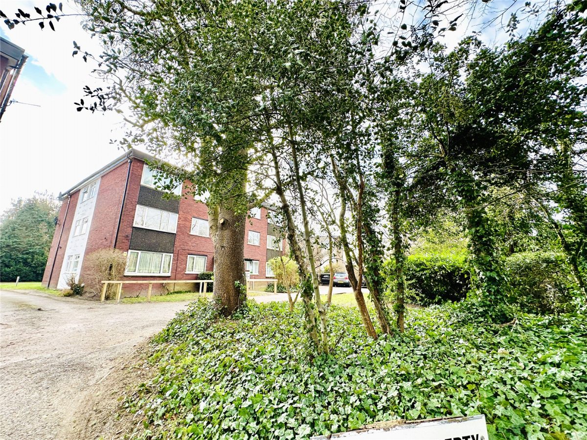 scrsah scr250091 img 13