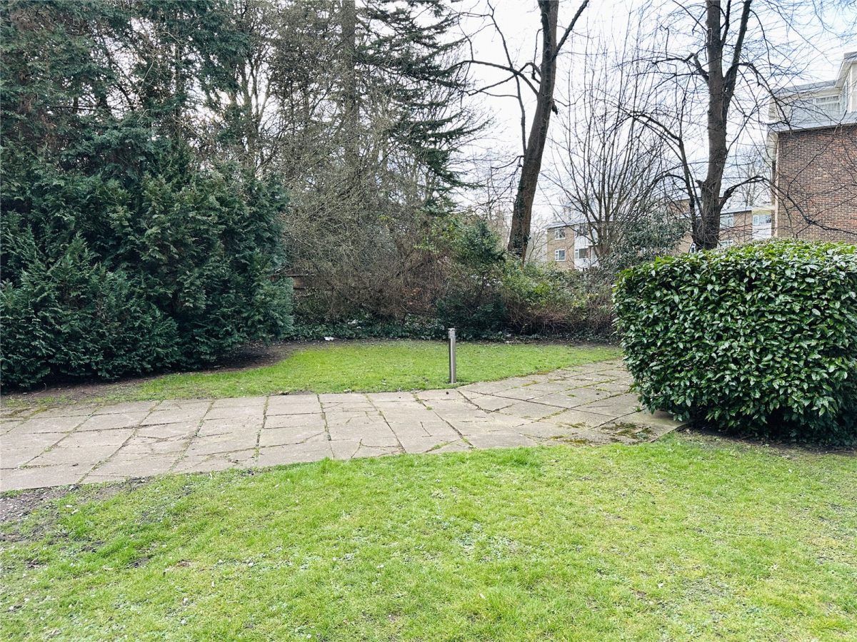 scrsah scr250091 img 14