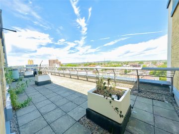 scrsah scr250176 img 00