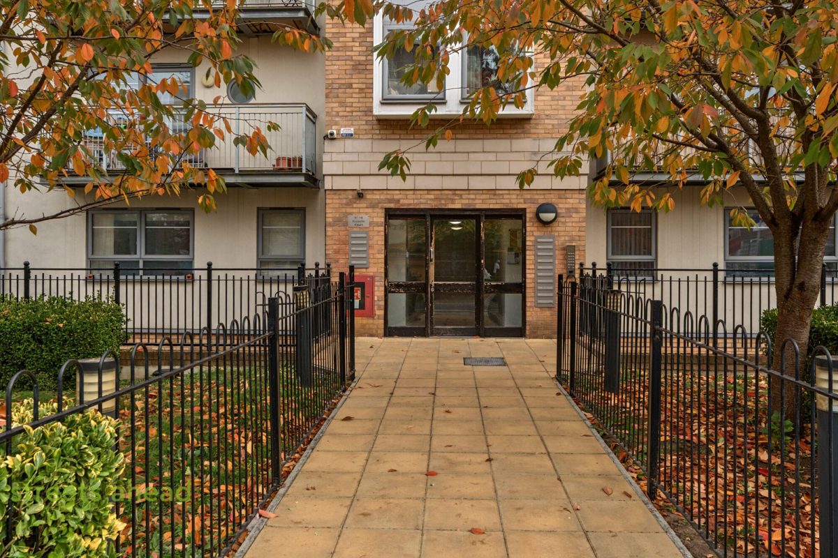 scrsah scr250346 img 17