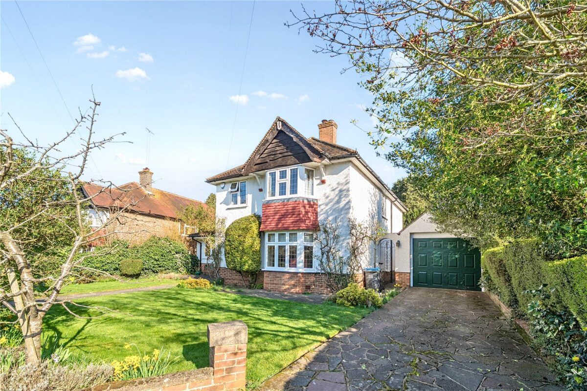 scrsah scr260151 img 16