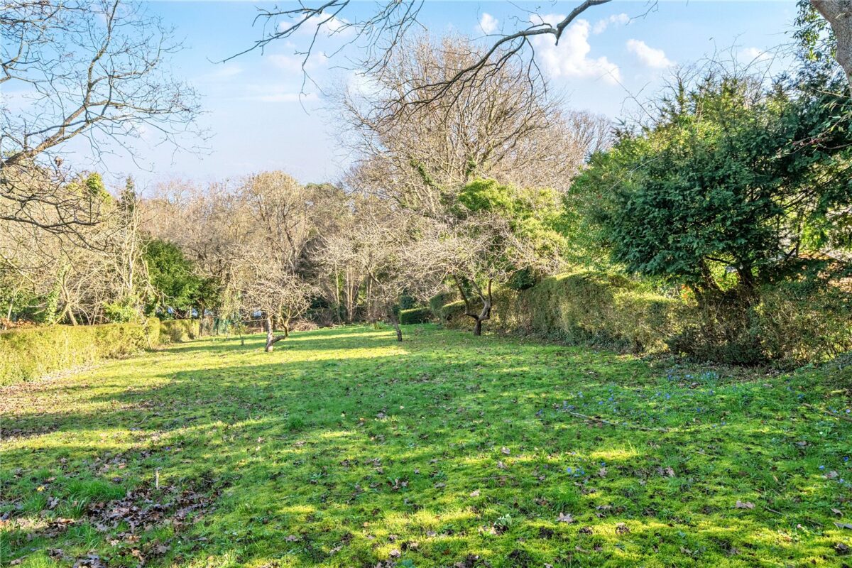 scrsah scr260151 img 17