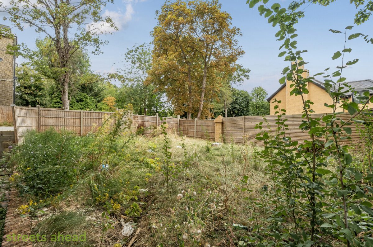 snwsah crp250246 img 10