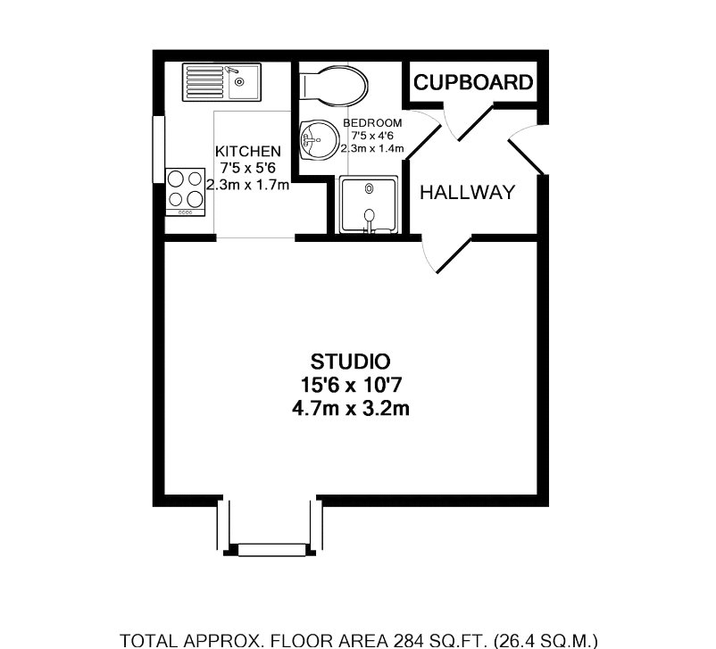 snwsah rpt100110 l flp 00