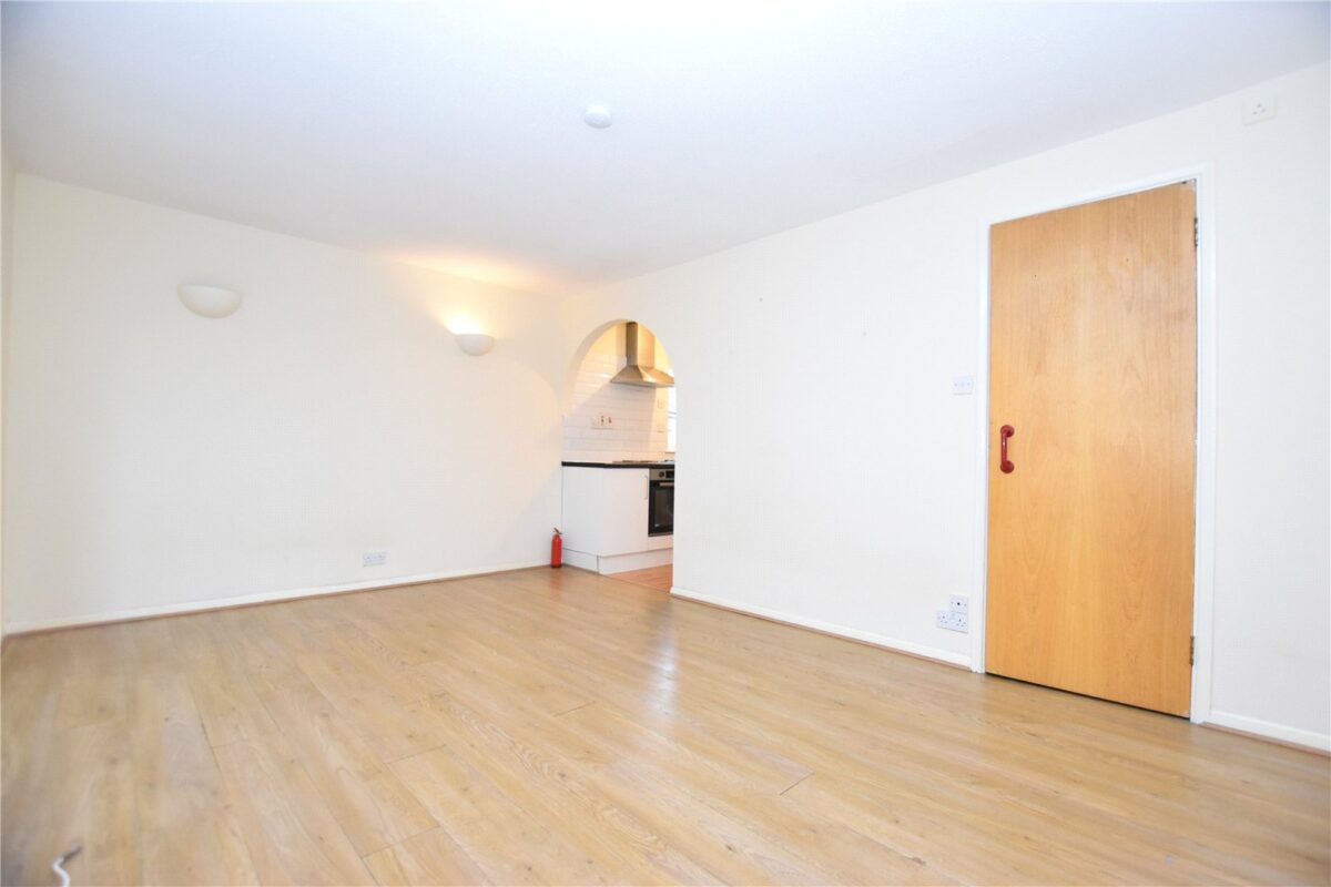 snwsah rpt100110 l img 01