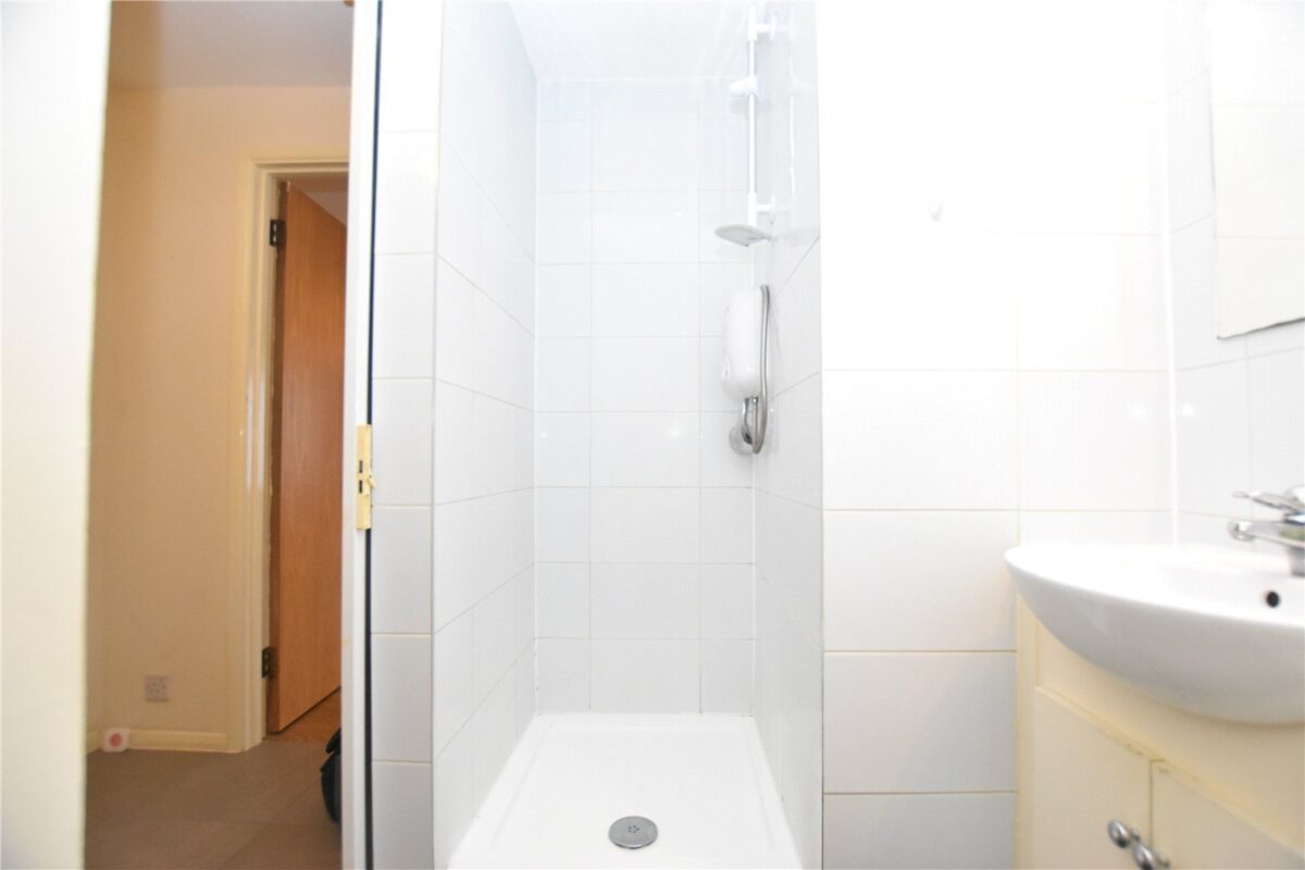 snwsah rpt100110 l img 06