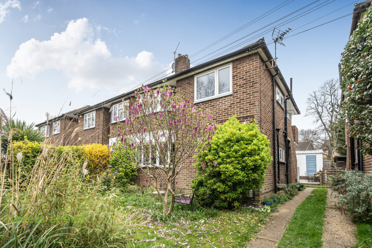 snwsah snw250094 img 05