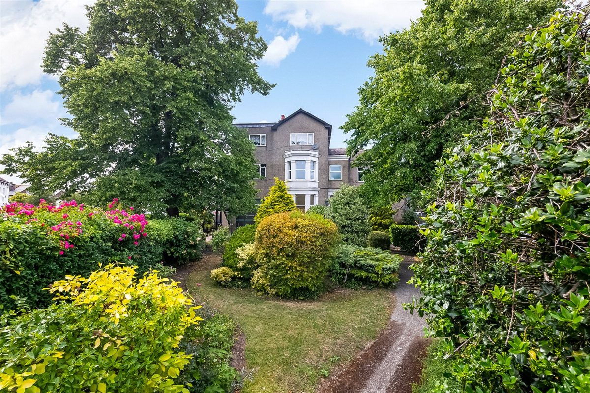 snwsah snw250095 img 14