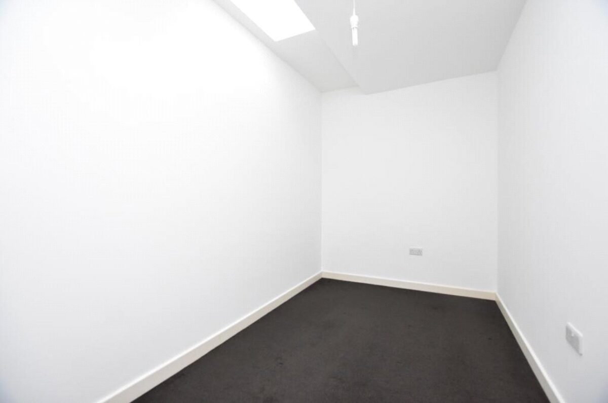 snwsah snw260034 l img 04