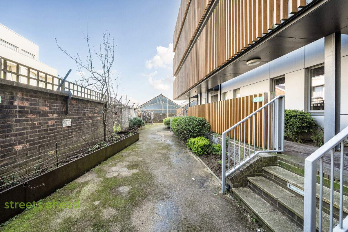 snwsah snw260052 img 15