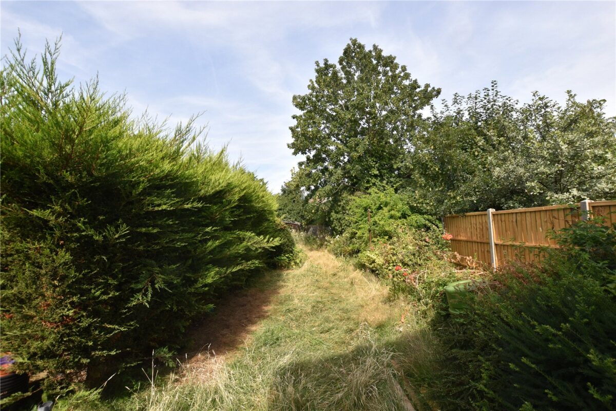 snwsah snw260185 l img 09