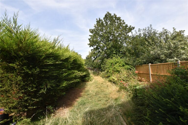 snwsah snw260185 l img 09