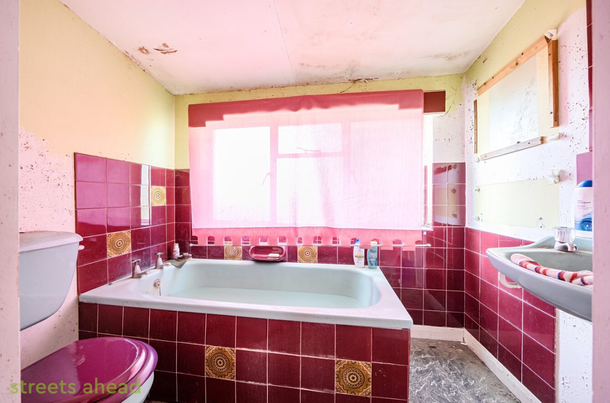 thosah tho240154 img 01