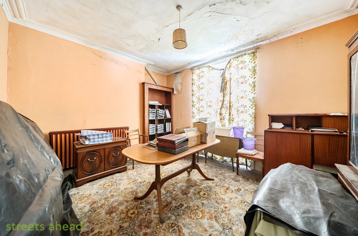 thosah tho240154 img 07