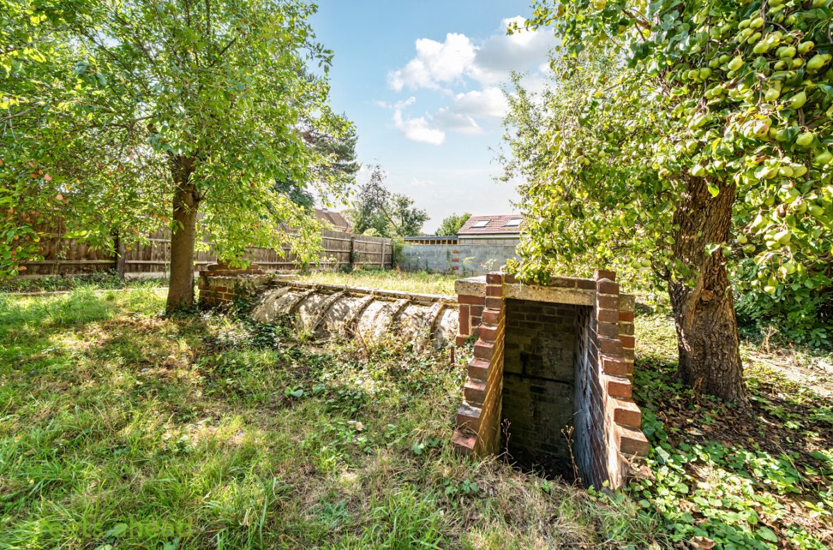 thosah tho240154 img 12