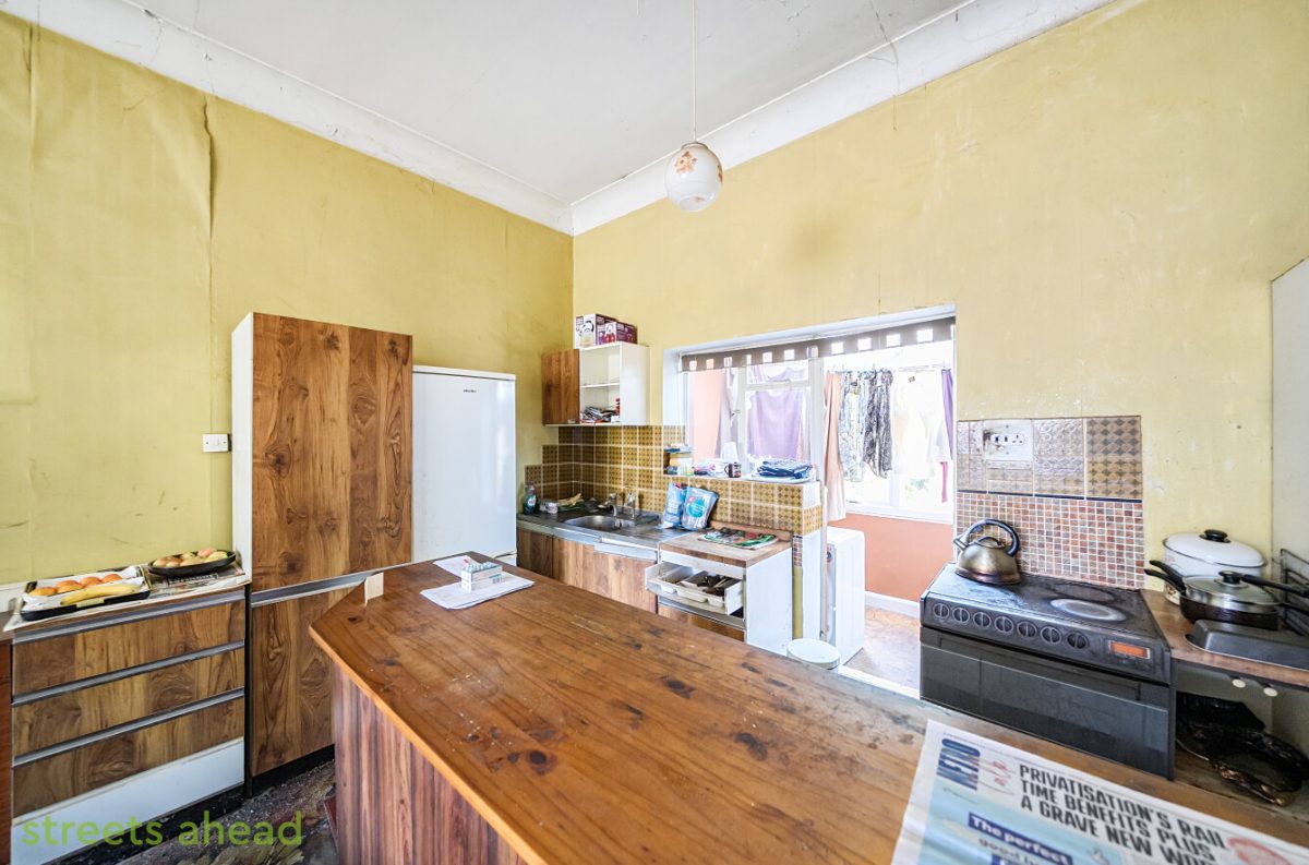 thosah tho240154 img 18