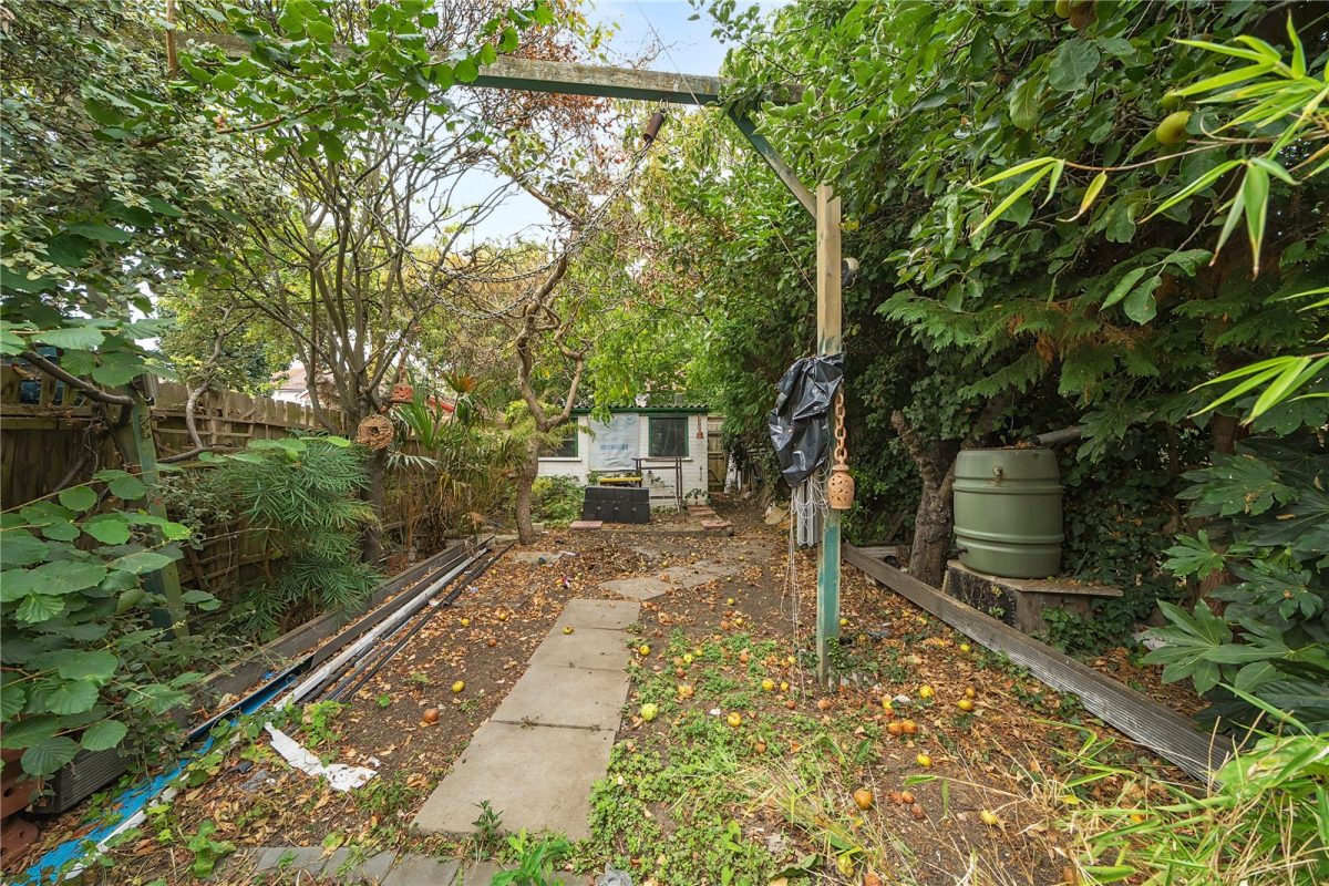 thosah tho240229 img 03