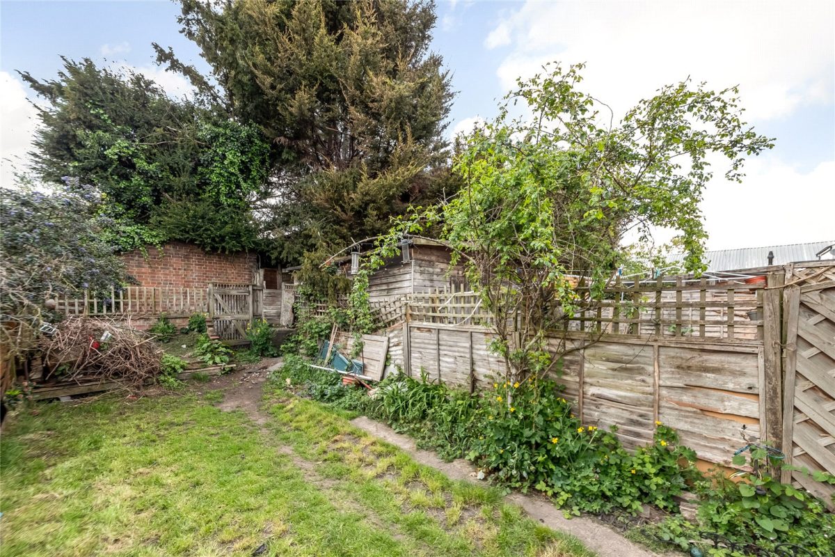 thosah tho250045 img 03