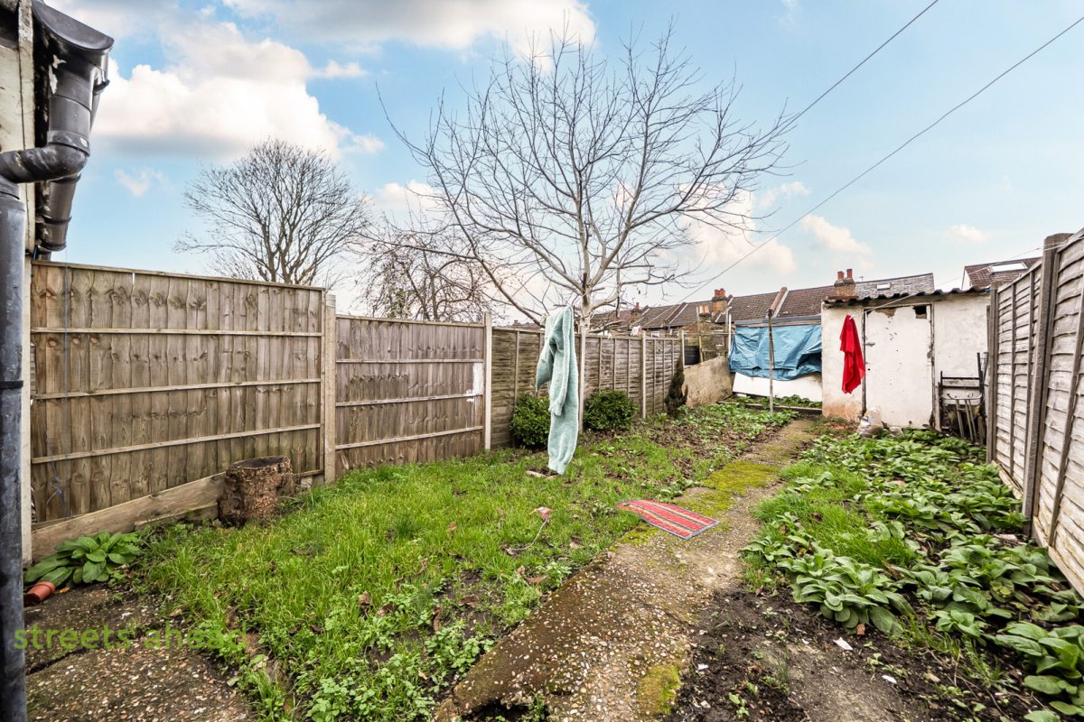 thosah tho250296 img 14